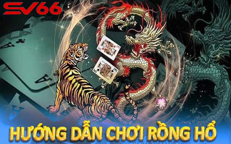 Biến thể của một con Rồng Hổ