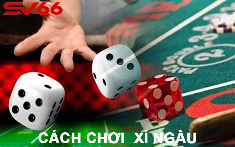 Cách chơi xí ngầu SV66 chuyên nghiệp và dễ dàng chiến thắng