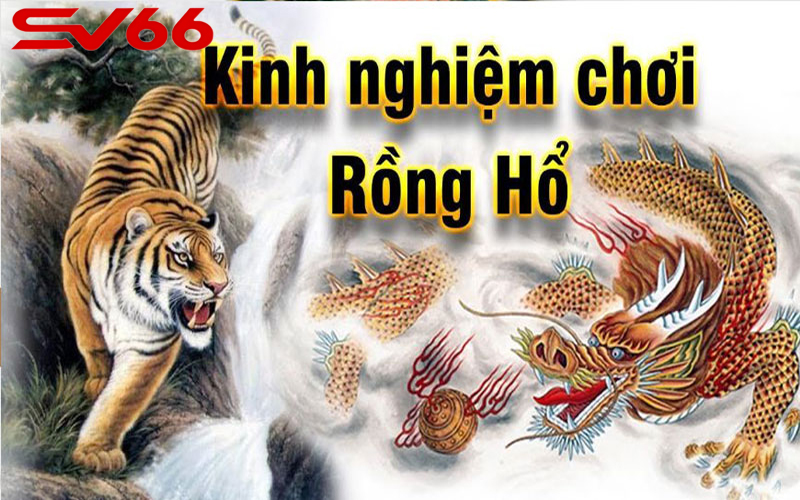 Chia sẻ một số kinh nghiệm chơi Rồng Hổ hay nhất