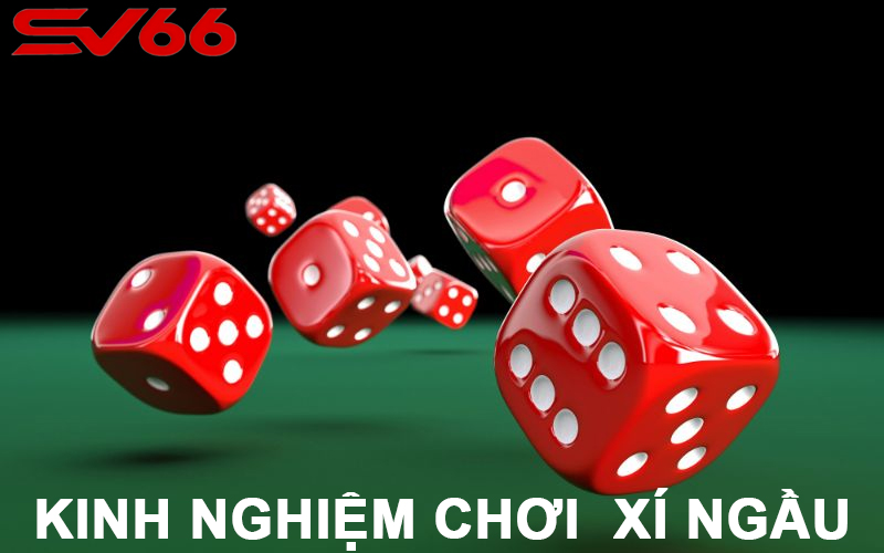 Kinh nghiệm chơi Xí Ngầu luôn thắng